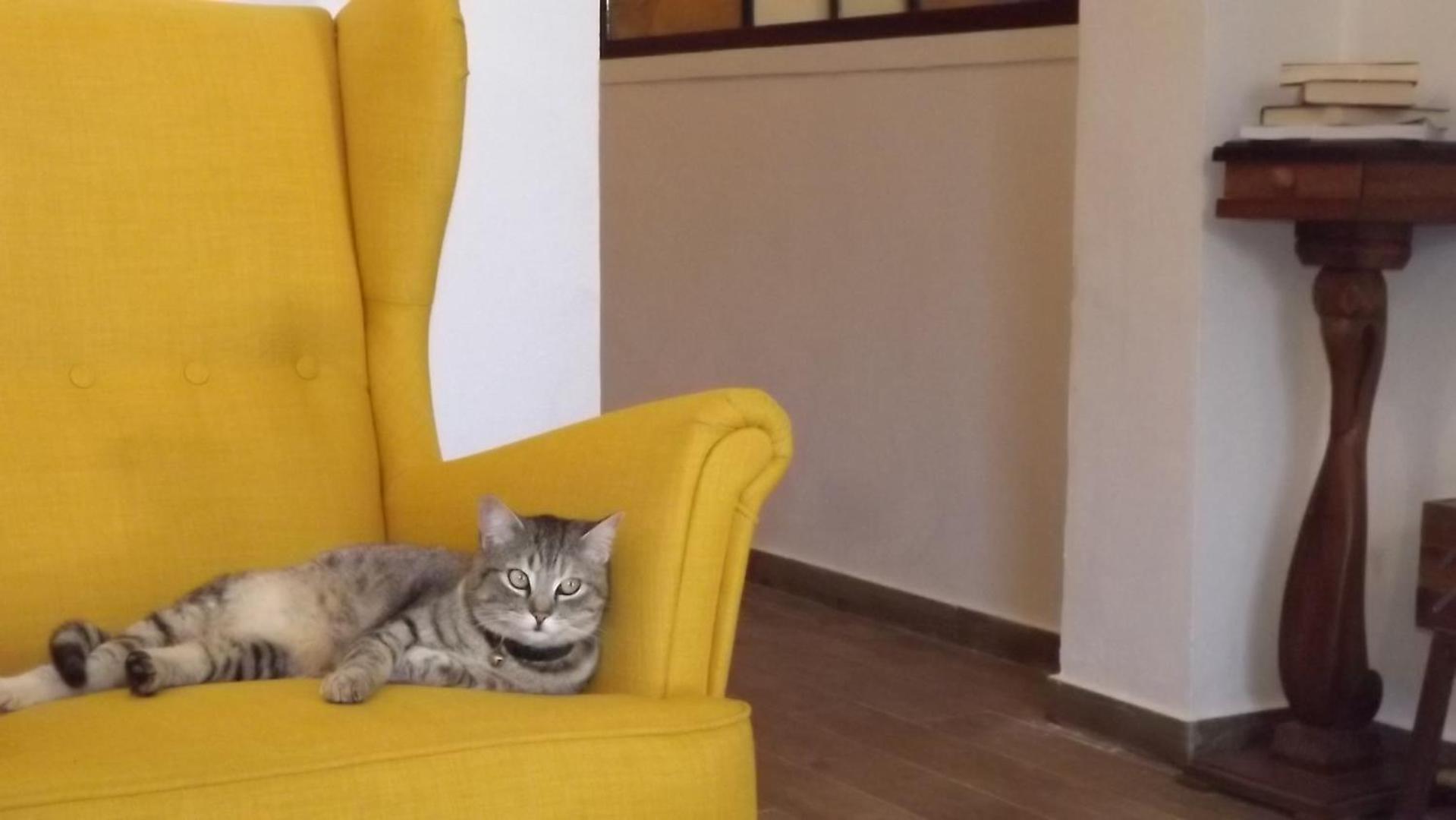 Beb Nonno Baffo Bed & Breakfast Avola Luaran gambar